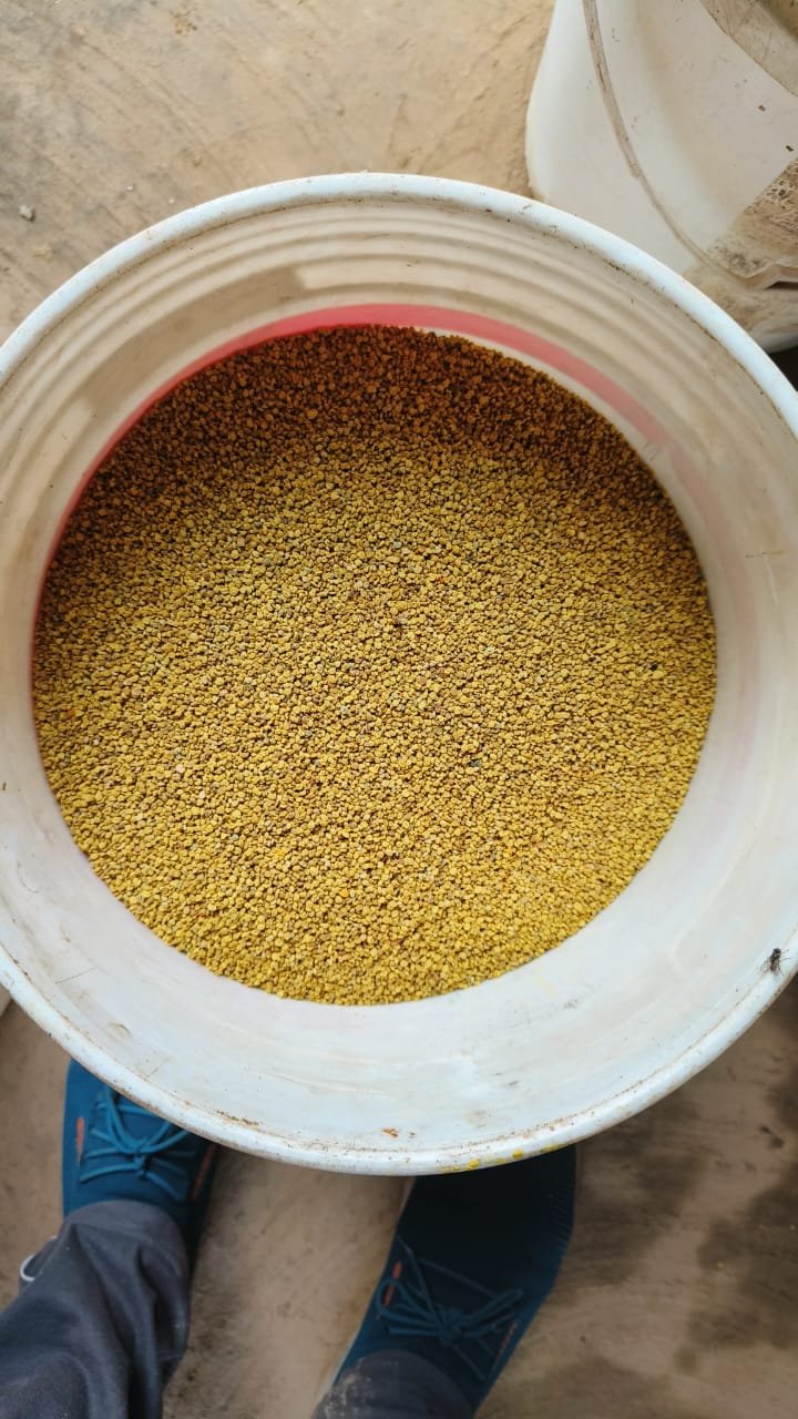 Pollen bulk harvest